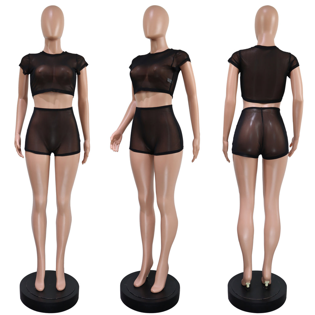 Women's Solid Short Sleeve Hollow Out Slim Fit Mesh Two-Piece Shorts Set
