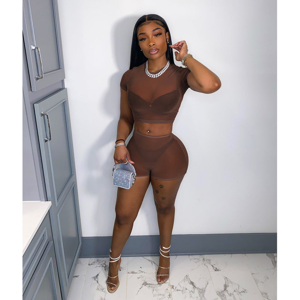 Women's Solid Short Sleeve Hollow Out Slim Fit Mesh Two-Piece Shorts Set