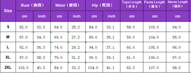 Women Autumn/Winter Ribbed Patchwork Casual Top And Pant Two-Piece Set