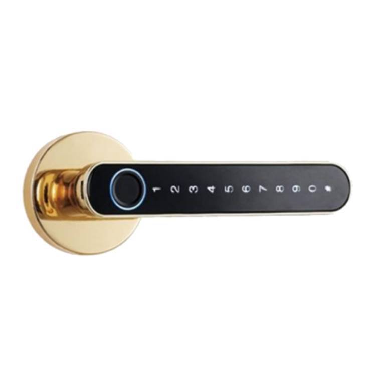 Smart Keyless Door Lock - Fingerprint & Code Entry