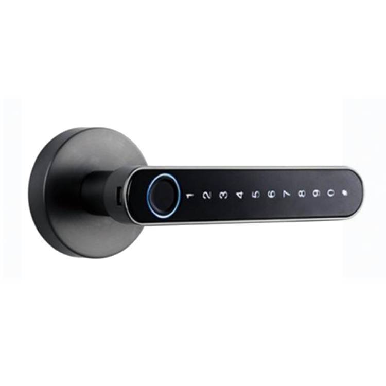 Smart Keyless Door Lock - Fingerprint & Code Entry
